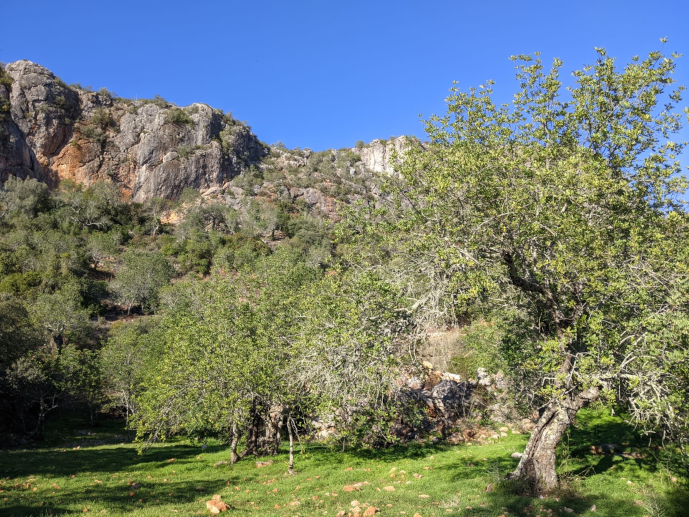 Tabletop mountain of Rocha da Pena